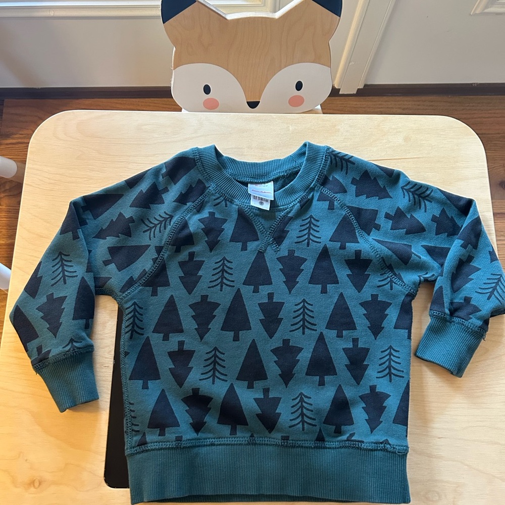 Sz 3T Hanna Andersson Sweatshirt